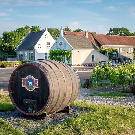 Wine-Barrel Rivaner Dreischor Eksteriør billede