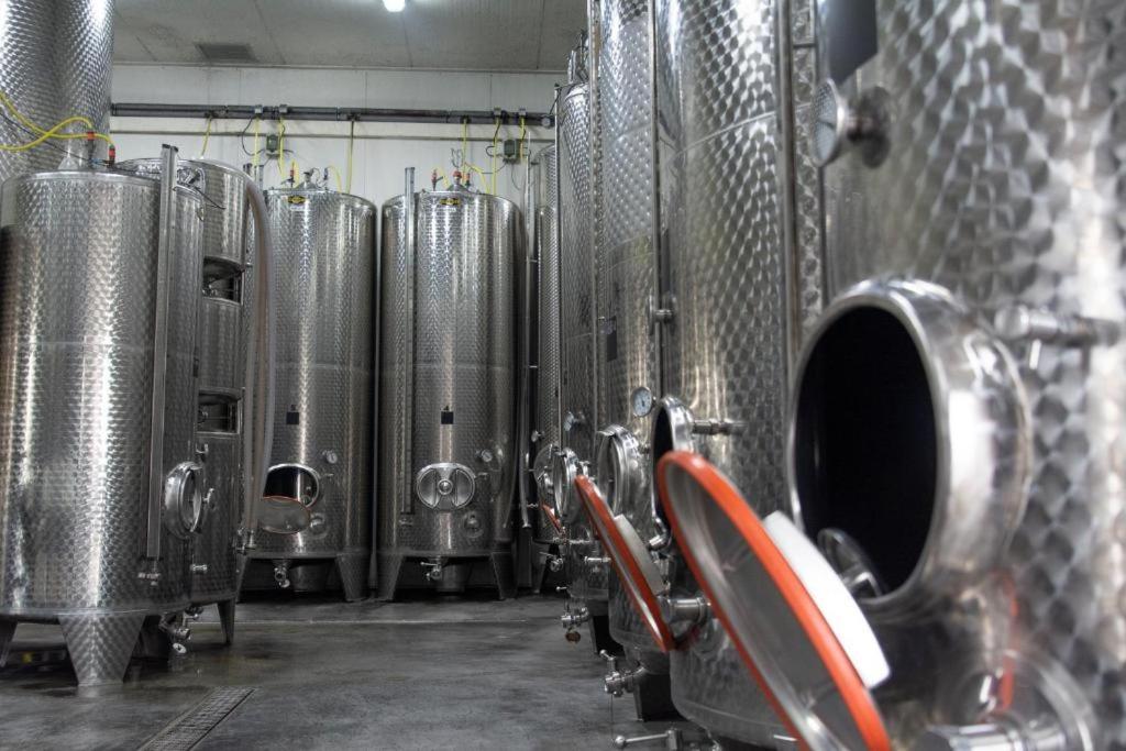 Wine-Barrel Rivaner Dreischor Eksteriør billede